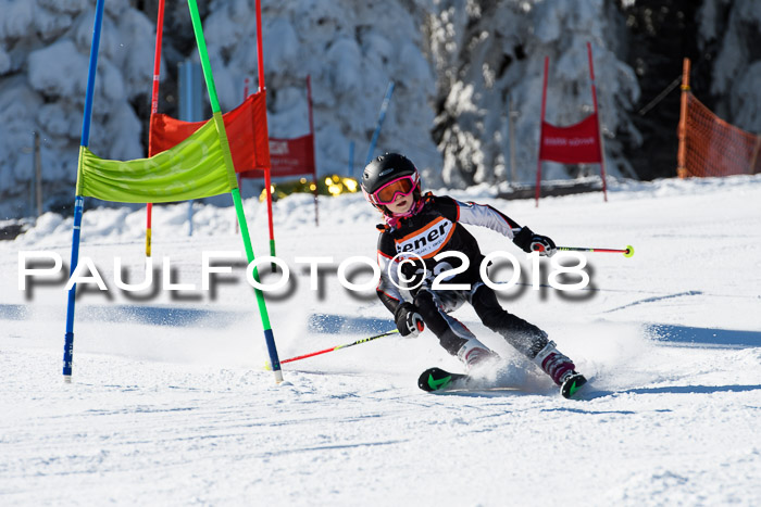 Ziener Cup WF, Finale, Quali + Parallelslalom, 24.03.2018