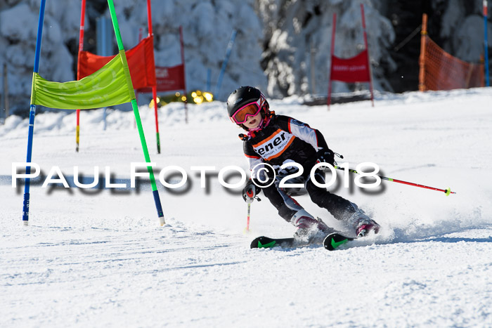 Ziener Cup WF, Finale, Quali + Parallelslalom, 24.03.2018