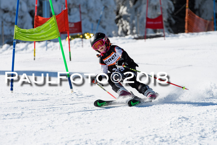 Ziener Cup WF, Finale, Quali + Parallelslalom, 24.03.2018