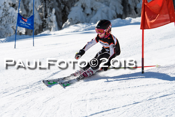 Ziener Cup WF, Finale, Quali + Parallelslalom, 24.03.2018