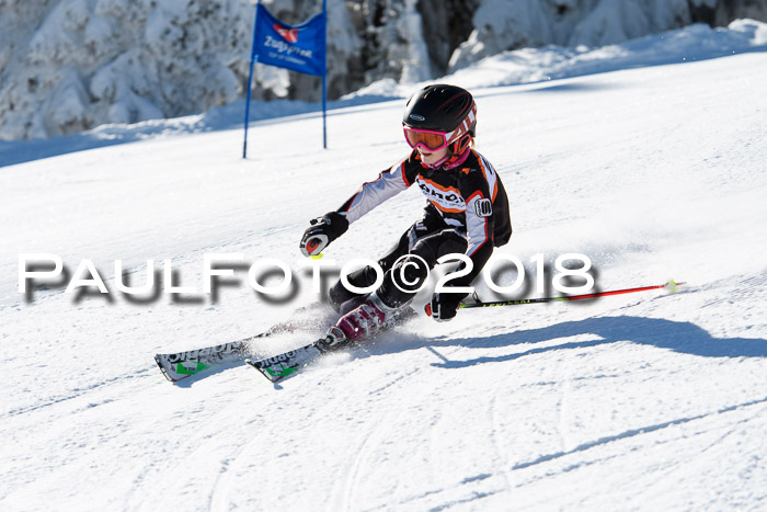 Ziener Cup WF, Finale, Quali + Parallelslalom, 24.03.2018