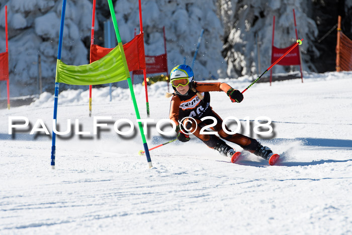 Ziener Cup WF, Finale, Quali + Parallelslalom, 24.03.2018