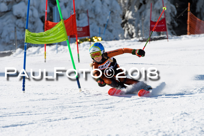 Ziener Cup WF, Finale, Quali + Parallelslalom, 24.03.2018