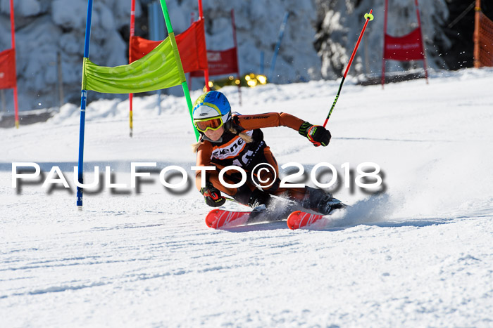 Ziener Cup WF, Finale, Quali + Parallelslalom, 24.03.2018