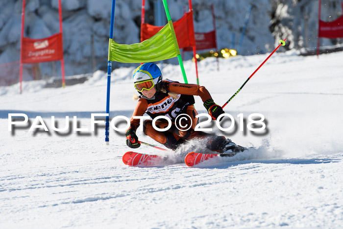 Ziener Cup WF, Finale, Quali + Parallelslalom, 24.03.2018