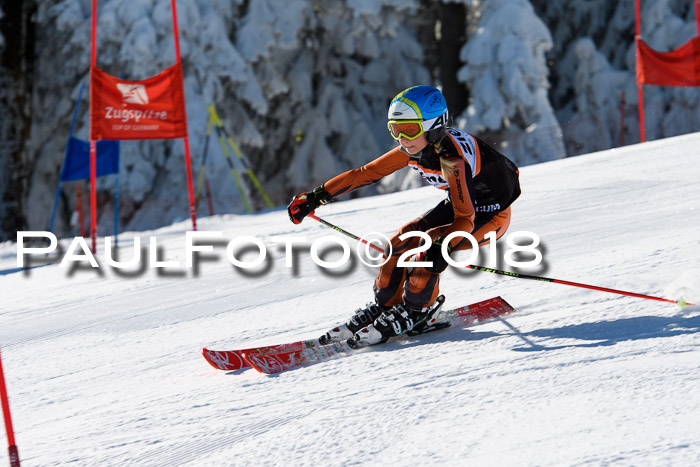 Ziener Cup WF, Finale, Quali + Parallelslalom, 24.03.2018