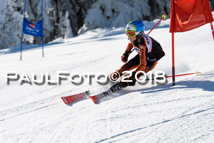 Ziener Cup WF, Finale, Quali + Parallelslalom, 24.03.2018