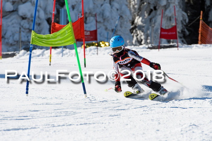 Ziener Cup WF, Finale, Quali + Parallelslalom, 24.03.2018