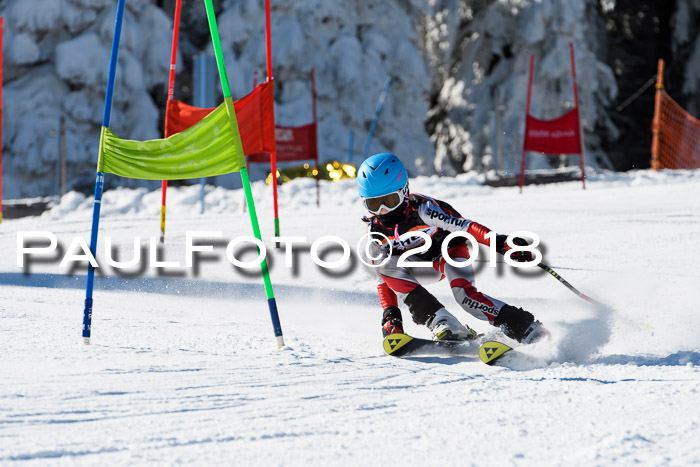 Ziener Cup WF, Finale, Quali + Parallelslalom, 24.03.2018