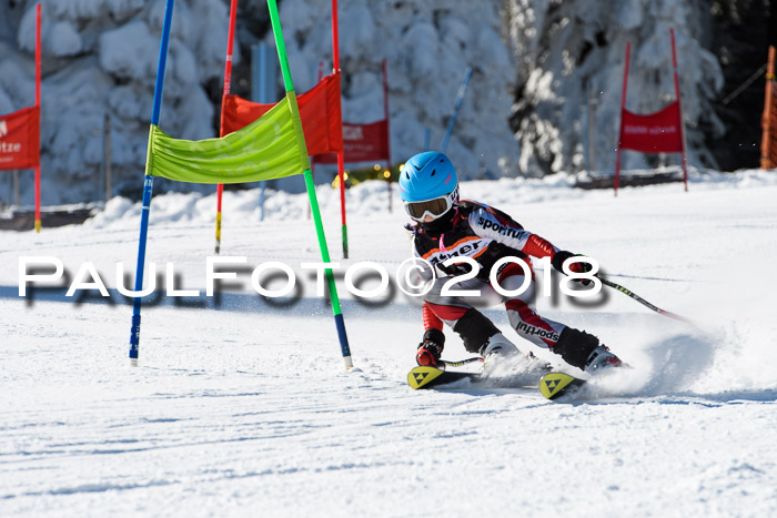 Ziener Cup WF, Finale, Quali + Parallelslalom, 24.03.2018