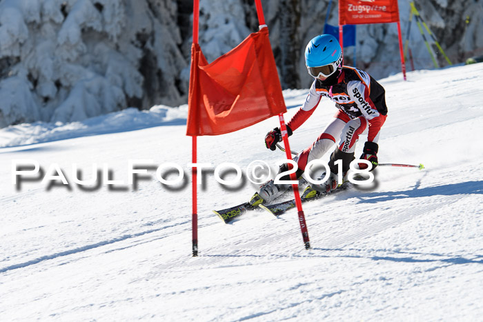 Ziener Cup WF, Finale, Quali + Parallelslalom, 24.03.2018