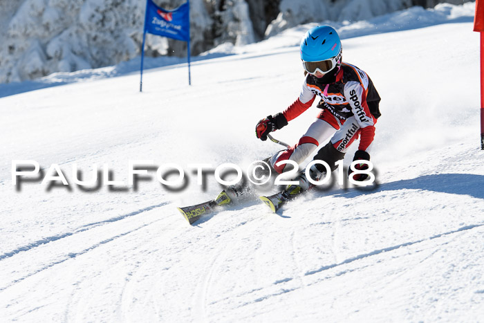 Ziener Cup WF, Finale, Quali + Parallelslalom, 24.03.2018