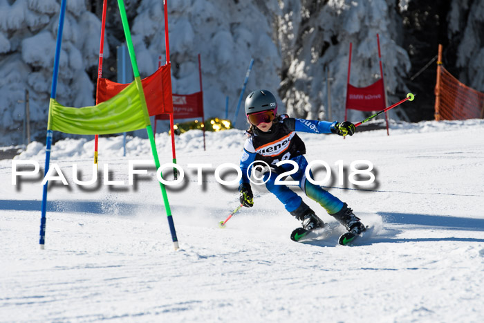 Ziener Cup WF, Finale, Quali + Parallelslalom, 24.03.2018