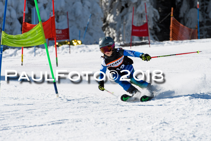 Ziener Cup WF, Finale, Quali + Parallelslalom, 24.03.2018