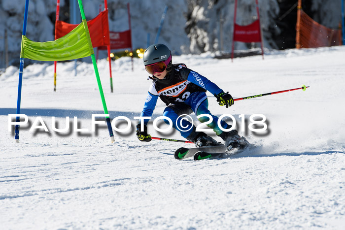 Ziener Cup WF, Finale, Quali + Parallelslalom, 24.03.2018