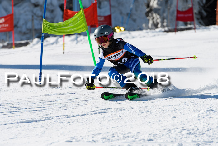 Ziener Cup WF, Finale, Quali + Parallelslalom, 24.03.2018