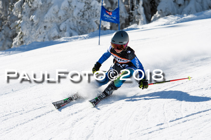 Ziener Cup WF, Finale, Quali + Parallelslalom, 24.03.2018