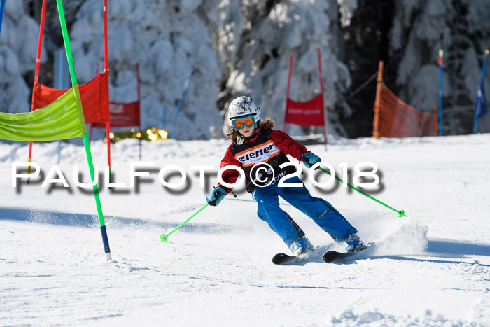 Ziener Cup WF, Finale, Quali + Parallelslalom, 24.03.2018