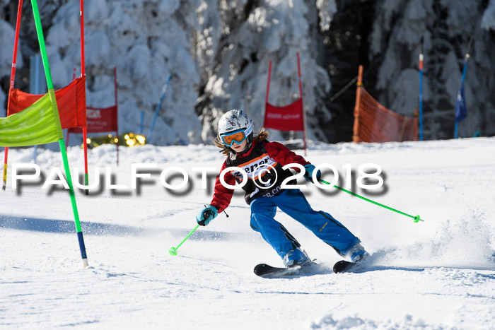Ziener Cup WF, Finale, Quali + Parallelslalom, 24.03.2018