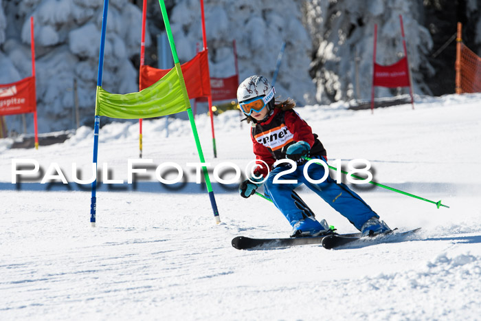 Ziener Cup WF, Finale, Quali + Parallelslalom, 24.03.2018
