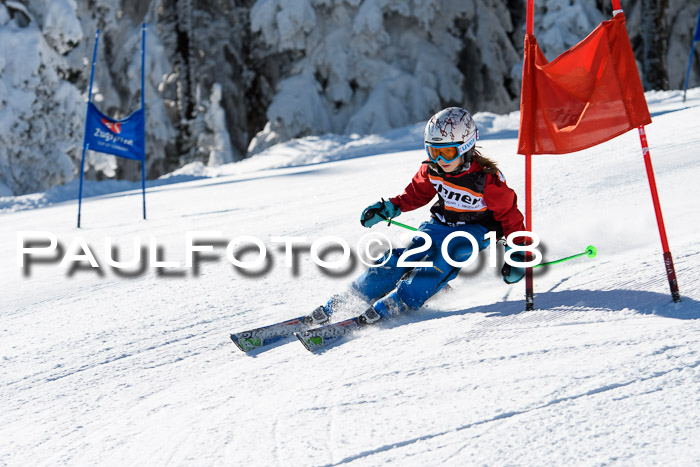 Ziener Cup WF, Finale, Quali + Parallelslalom, 24.03.2018