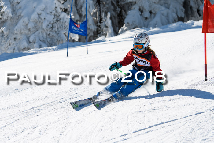 Ziener Cup WF, Finale, Quali + Parallelslalom, 24.03.2018