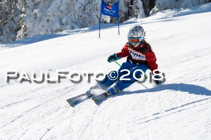 Ziener Cup WF, Finale, Quali + Parallelslalom, 24.03.2018