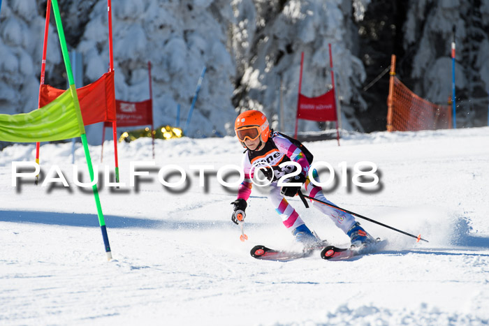 Ziener Cup WF, Finale, Quali + Parallelslalom, 24.03.2018