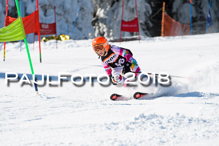 Ziener Cup WF, Finale, Quali + Parallelslalom, 24.03.2018