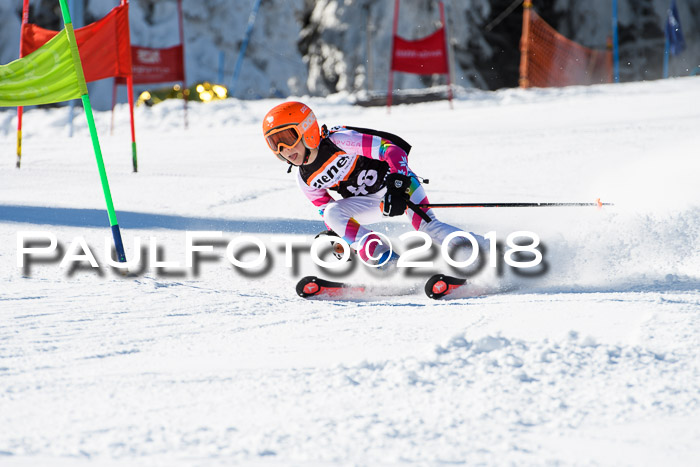 Ziener Cup WF, Finale, Quali + Parallelslalom, 24.03.2018