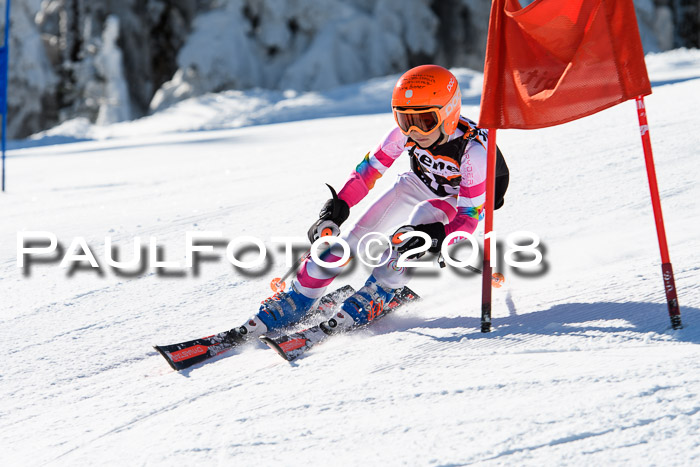 Ziener Cup WF, Finale, Quali + Parallelslalom, 24.03.2018