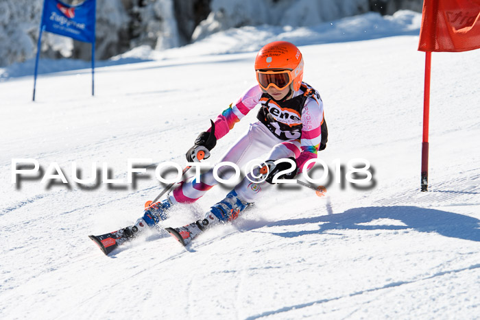 Ziener Cup WF, Finale, Quali + Parallelslalom, 24.03.2018
