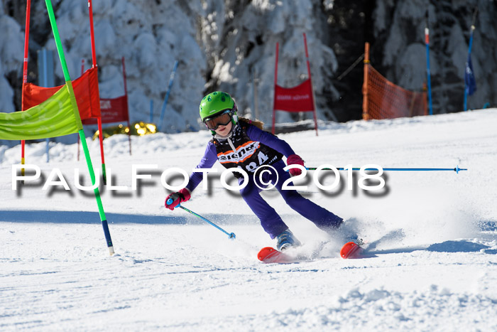 Ziener Cup WF, Finale, Quali + Parallelslalom, 24.03.2018