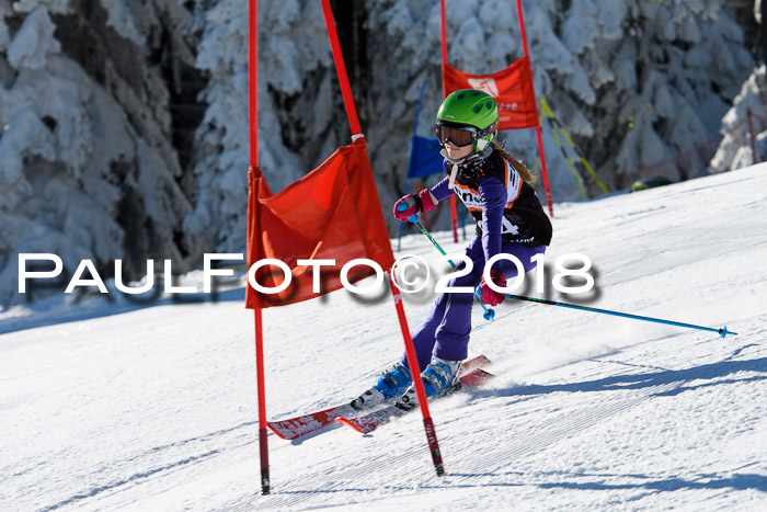 Ziener Cup WF, Finale, Quali + Parallelslalom, 24.03.2018