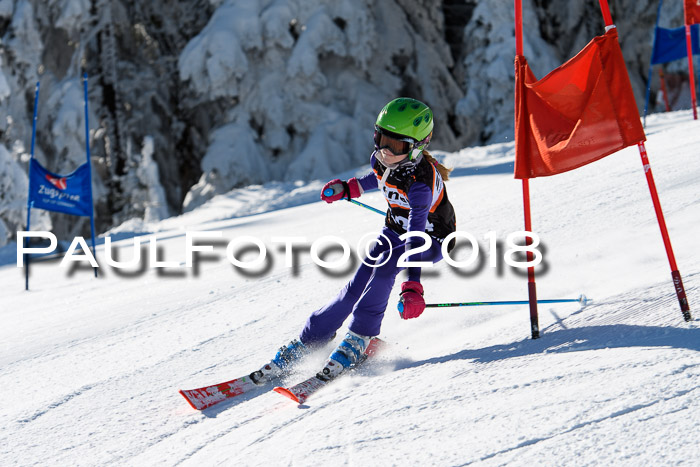 Ziener Cup WF, Finale, Quali + Parallelslalom, 24.03.2018