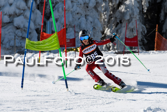 Ziener Cup WF, Finale, Quali + Parallelslalom, 24.03.2018