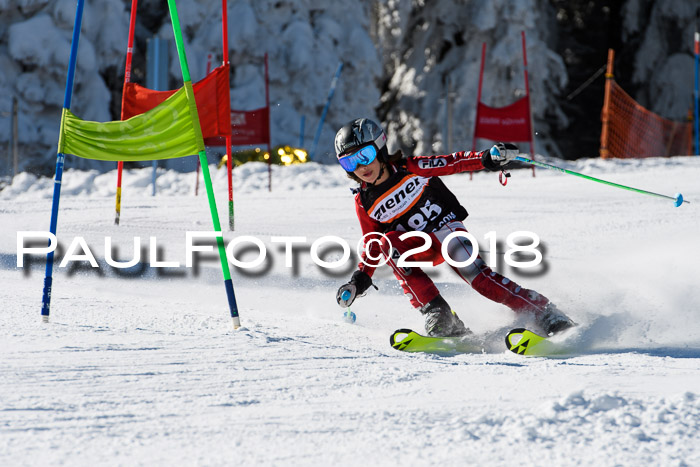Ziener Cup WF, Finale, Quali + Parallelslalom, 24.03.2018