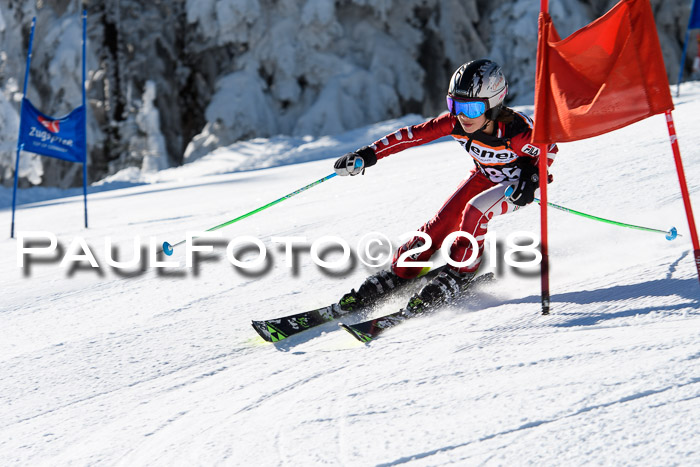 Ziener Cup WF, Finale, Quali + Parallelslalom, 24.03.2018