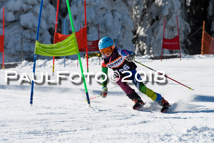 Ziener Cup WF, Finale, Quali + Parallelslalom, 24.03.2018
