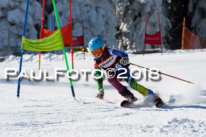 Ziener Cup WF, Finale, Quali + Parallelslalom, 24.03.2018
