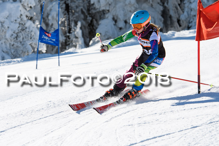 Ziener Cup WF, Finale, Quali + Parallelslalom, 24.03.2018