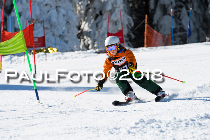 Ziener Cup WF, Finale, Quali + Parallelslalom, 24.03.2018