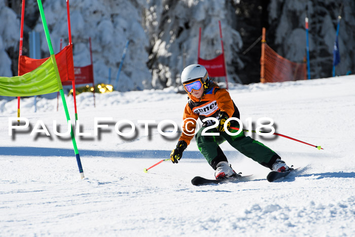Ziener Cup WF, Finale, Quali + Parallelslalom, 24.03.2018