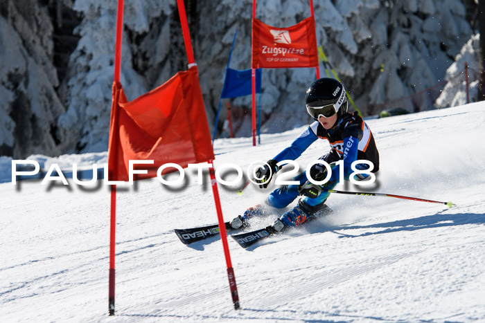 Ziener Cup WF, Finale, Quali + Parallelslalom, 24.03.2018