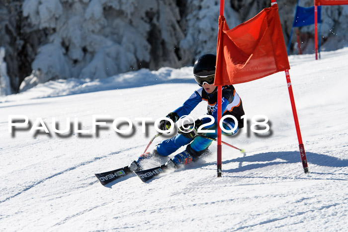 Ziener Cup WF, Finale, Quali + Parallelslalom, 24.03.2018