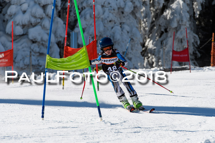 Ziener Cup WF, Finale, Quali + Parallelslalom, 24.03.2018