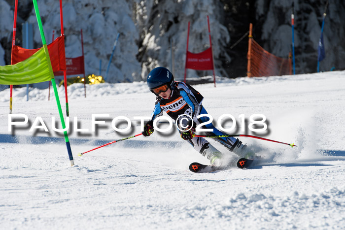 Ziener Cup WF, Finale, Quali + Parallelslalom, 24.03.2018