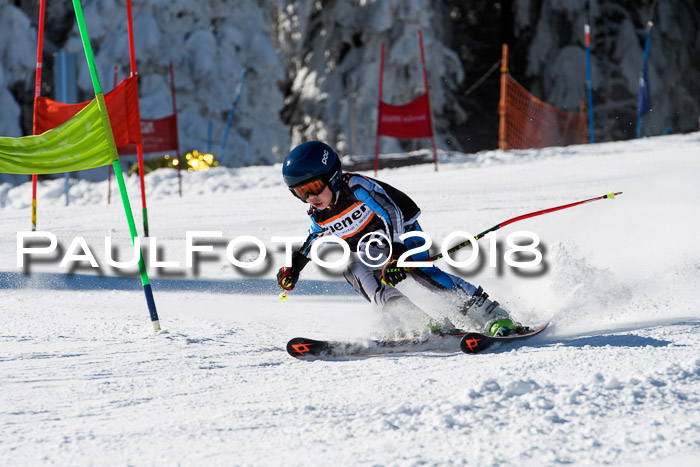 Ziener Cup WF, Finale, Quali + Parallelslalom, 24.03.2018