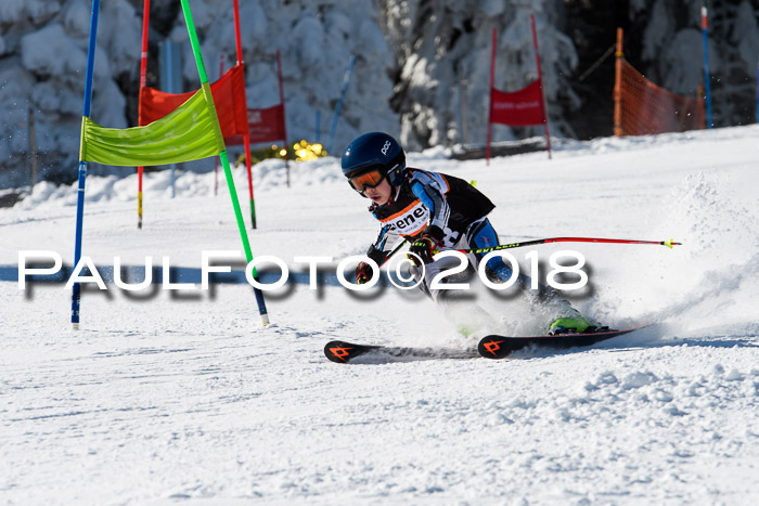 Ziener Cup WF, Finale, Quali + Parallelslalom, 24.03.2018