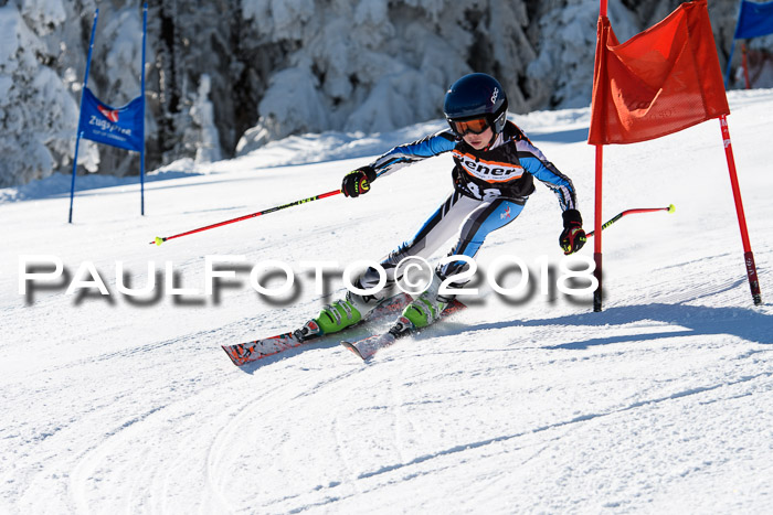 Ziener Cup WF, Finale, Quali + Parallelslalom, 24.03.2018